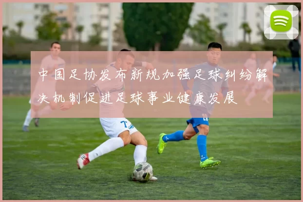 中国足协发布新规加强足球纠纷解决机制促进足球事业健康发展