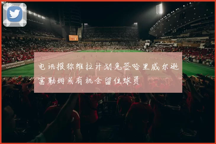 电讯报称维拉计划免签哈里威尔逊富勒姆或有机会留住球员