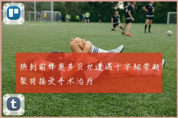 热刺前锋奥多贝尔遭遇十字韧带断裂将接受手术治疗