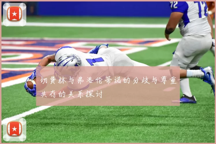 切费林与弗洛伦蒂诺的分歧与尊重共存的关系探讨
